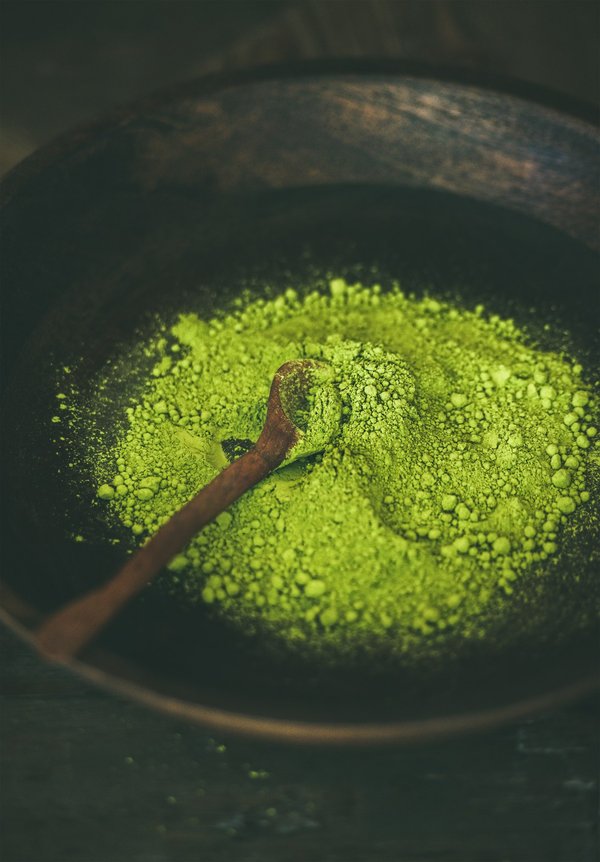 Moule verte : le complément idéal pour les articulations de vos animaux